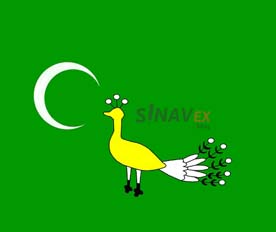 Gazneliler Bayrağı - SINAVEX